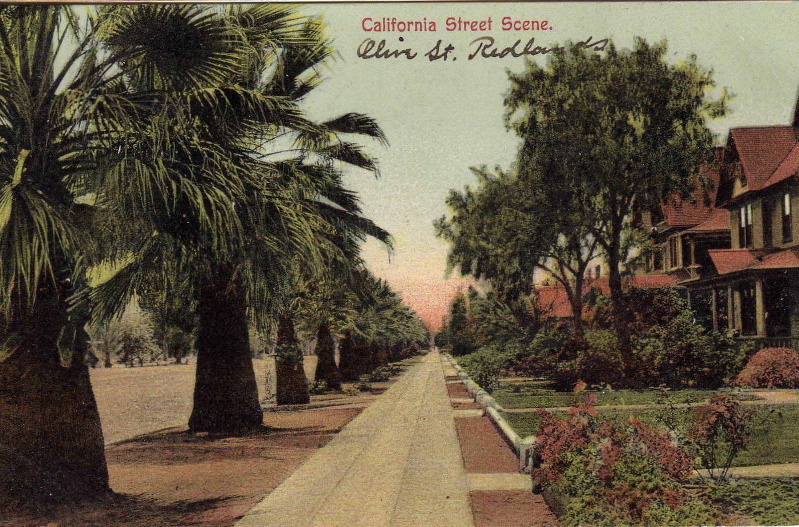 Vintage hand-tinted postcard of palm-lined Olive St. in Redlands with Victorian homes